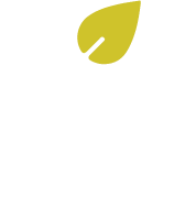 You In The World